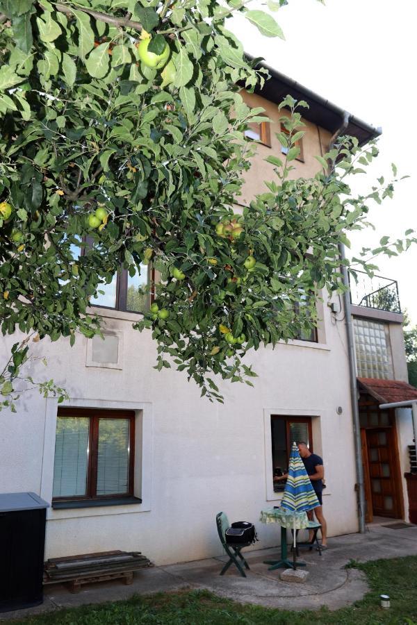 Vila Rijad SJJ Buitenkant foto